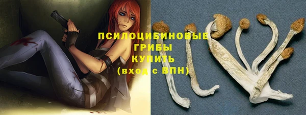 2c-b Абдулино