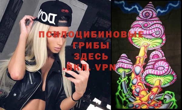 2c-b Абдулино