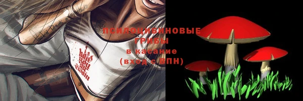гидропоника Абаза