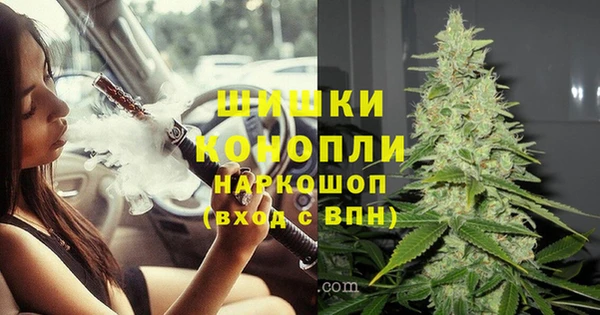 гидропоника Абаза
