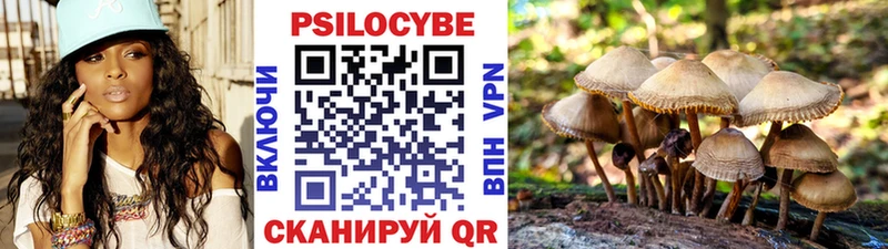 наркошоп Орёл Псилоцибиновые грибы прущие грибы